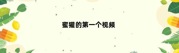 蜜獾的第一个视频(蜜獾的故事)
