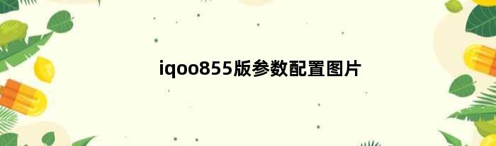 iqoo855版参数配置图片(iqoo855版参数配置)