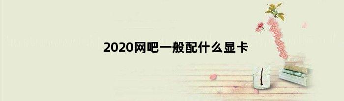 2020网吧一般配什么显卡(请问网吧里一般配置什么显卡)