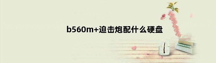 b560m 迫击炮配什么硬盘(b660迫击炮能上30固态硬盘吗)