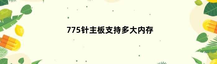 775针主板支持多大内存(775针的主板支持内存DDR3什么型号好求高手推荐个好用的)