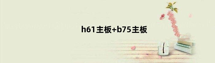 h61主板 b75主板(电脑选主板是H61好还是B75好)