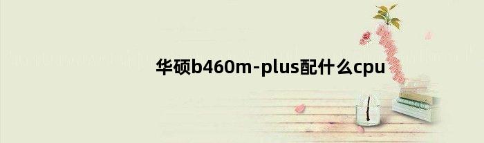 华硕b460m-plus配什么cpu(华硕b460mplus最高支持的cpu)
