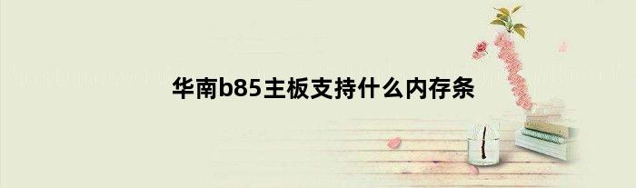 华南b85主板支持什么内存条(华南金牌b85主板带m2支持nvme吗)