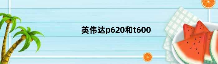 英伟达p620和t600(英伟达t600显卡对比p620)