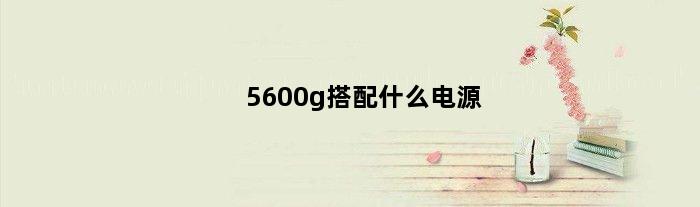 5600g搭配什么电源(5600g推荐什么电源)