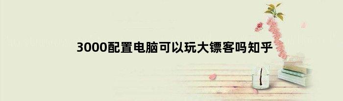 3000配置电脑可以玩大镖客吗知乎(3000配置电脑可以玩大镖客吗)