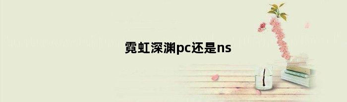 霓虹深渊pc还是ns(霓虹深渊pc版和ns版区别)