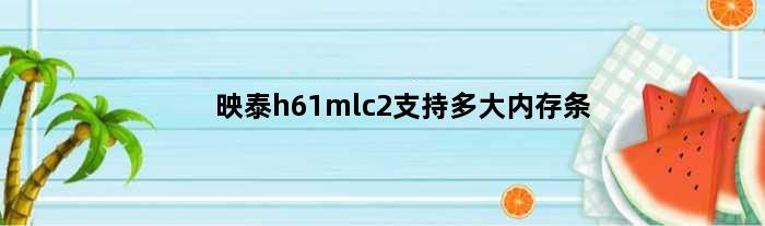 映泰h61mlc2支持多大内存条(映泰h61mlc2能装什么cpu)