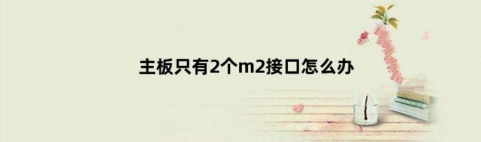 主板只有2个m2接口怎么办(主板只有两个接口可以装水冷吗)