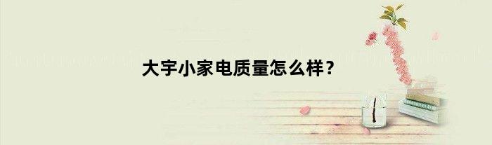 大宇小家电质量怎么样？(大宇小方糖锅测评)