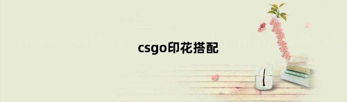 csgo印花搭配(csgoak夜愿配什么印花)