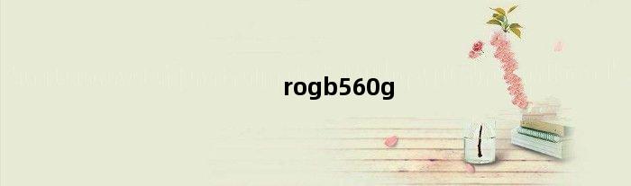 rogb560g(rogb560i支持什么固态)