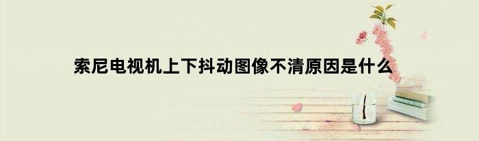 索尼电视机上下抖动图像不清原因是什么(索尼电视机上下抖动图像不清原因)