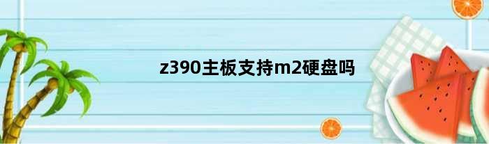 z390主板支持m2硬盘吗(z390主板有几个m2接口)