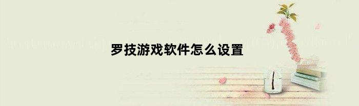 罗技游戏软件怎么设置(罗技游戏软件设置说明)