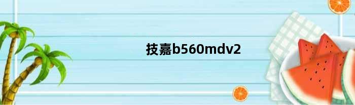 技嘉b560mdv2(技嘉b650mds3h 评测)