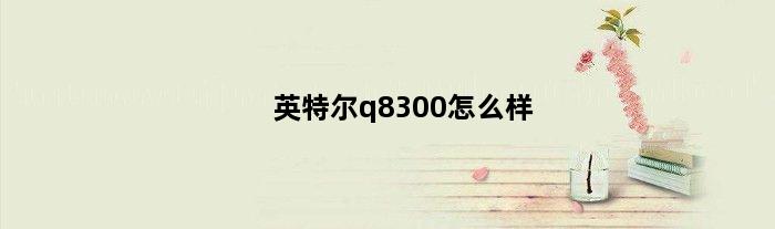 英特尔q8300怎么样(Intel Q8300好用么)