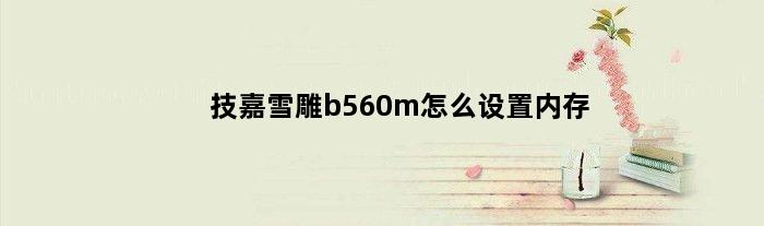 技嘉雪雕b560m怎么设置内存(技嘉b660雪雕能装几条内存)