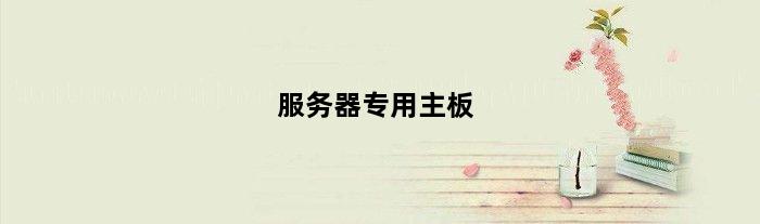 服务器专用主板(服务器主板是什么可以家用吗)