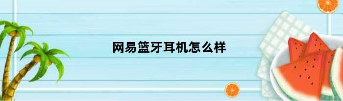 网易篮牙耳机怎么样(网易蓝牙耳机怎么样)