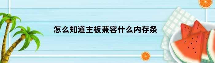 怎么知道主板兼容什么内存条(怎么看自己的主板是否兼容内存条)