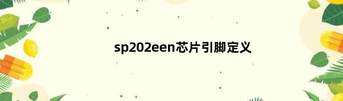 sp202een芯片引脚定义(sp3232芯片引脚定义)