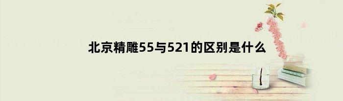 北京精雕55与521的区别是什么(北京精雕55与521的区别是什么)