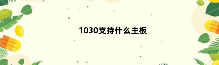 1030支持什么主板(13100f配什么内存)