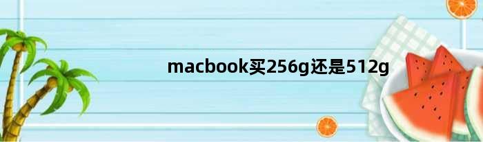 macbook买256g还是512g(macbookm1买256好还是512的好)