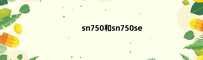 sn750和sn750se(sn770和sn750哪个更值得购买)