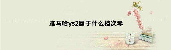 雅马哈ys2属于什么档次琴(雅马哈ys2值得买吗)