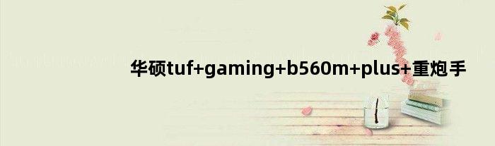 华硕tuf gaming b560m plus 重炮手(华硕b660重炮手贴纸有什么用)