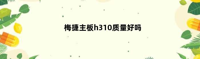 梅捷主板h310质量好吗(梅捷h310mk配2060)