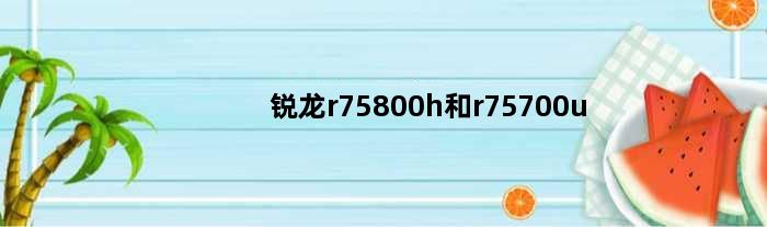 锐龙r75800h和r75700u(amd锐龙r75700u和i7哪个好)
