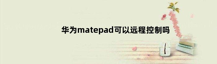 华为matepad可以远程控制吗(华为matepadpro126可以远程cad吗)