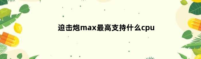 迫击炮max最高支持什么cpu(迫击炮max用什么ssd)