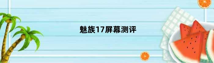 魅族17屏幕测评(魅族17是周冬雨屏吗)