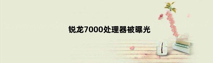 锐龙7000处理器被曝光(锐龙7 7800h上市时间)