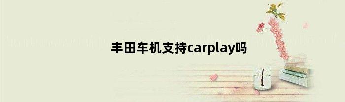 丰田车机支持carplay吗(丰田用什么车机)