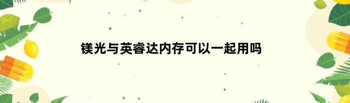 镁光与英睿达内存可以一起用吗(请问镁光的Drr31600内存条可以和英睿达的Drr42400一起装吗)