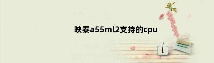 映泰a55ml2支持的cpu(映泰a57支持什么cpu)