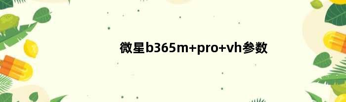 微星b365m pro vh参数(微星b365gamingplus参数)