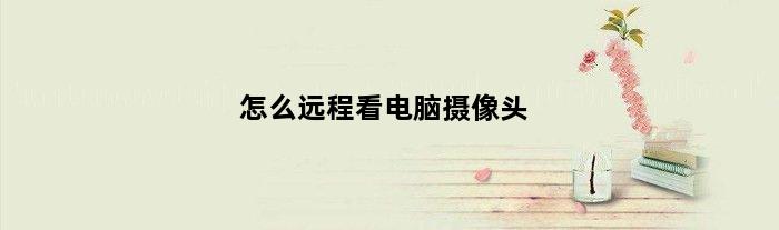 怎么远程看电脑摄像头(谁知道如何在电脑上远程看监控)