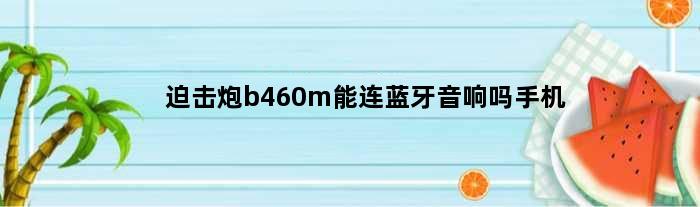 迫击炮b460m能连蓝牙音响吗手机(迫击炮b460m能连蓝牙音响吗)