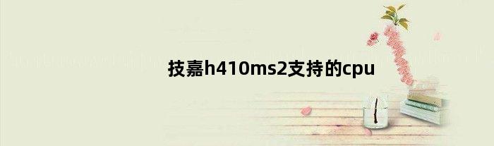 技嘉h410ms2支持的cpu(技嘉h410s2可以用什么机箱)