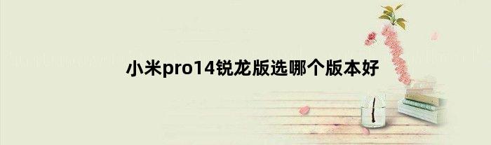 小米pro14锐龙版选哪个版本好(小米pro14锐龙版选哪个版本)