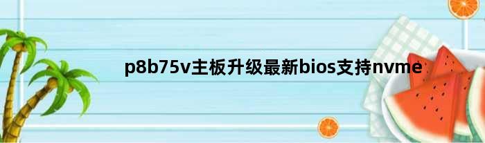 p8b75v主板升级最新bios支持nvme(p8875v主板能插m2硬盘吗)