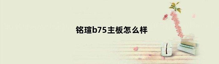 铭瑄b75主板怎么样(铭瑄b760mgkd5配什么内存)