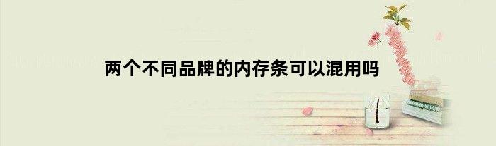 两个不同品牌的内存条可以混用吗(不同品牌的内存条可以混用吗)